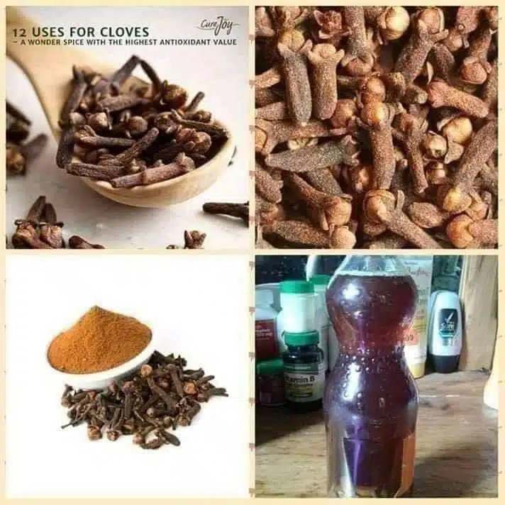 Effects Of Cloves On The Vagina: Does It Tighten The Vagina?  Cloves