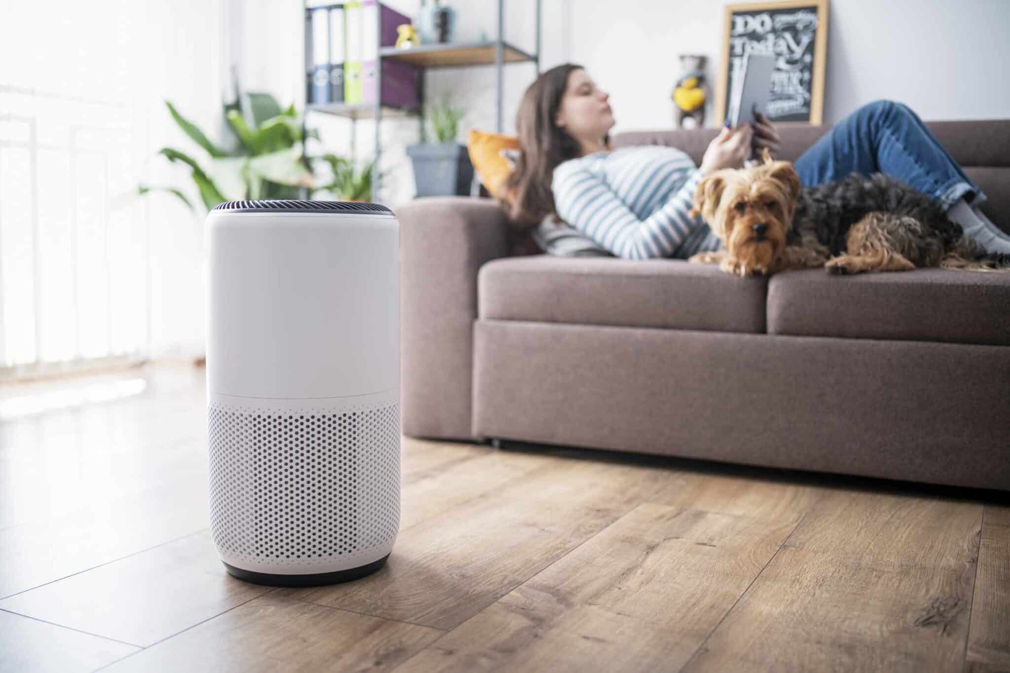 Top Air Purifiers For Your Home In 2024 | Best 10 Air Purifiers For Having Clean And Healthy Air {How They Work, Features, Pros/Cons And Overall Best} Top Air Purifiers For Your Home: What Are The Benefits Of Using An Air Purifier? - Healthsoothe
