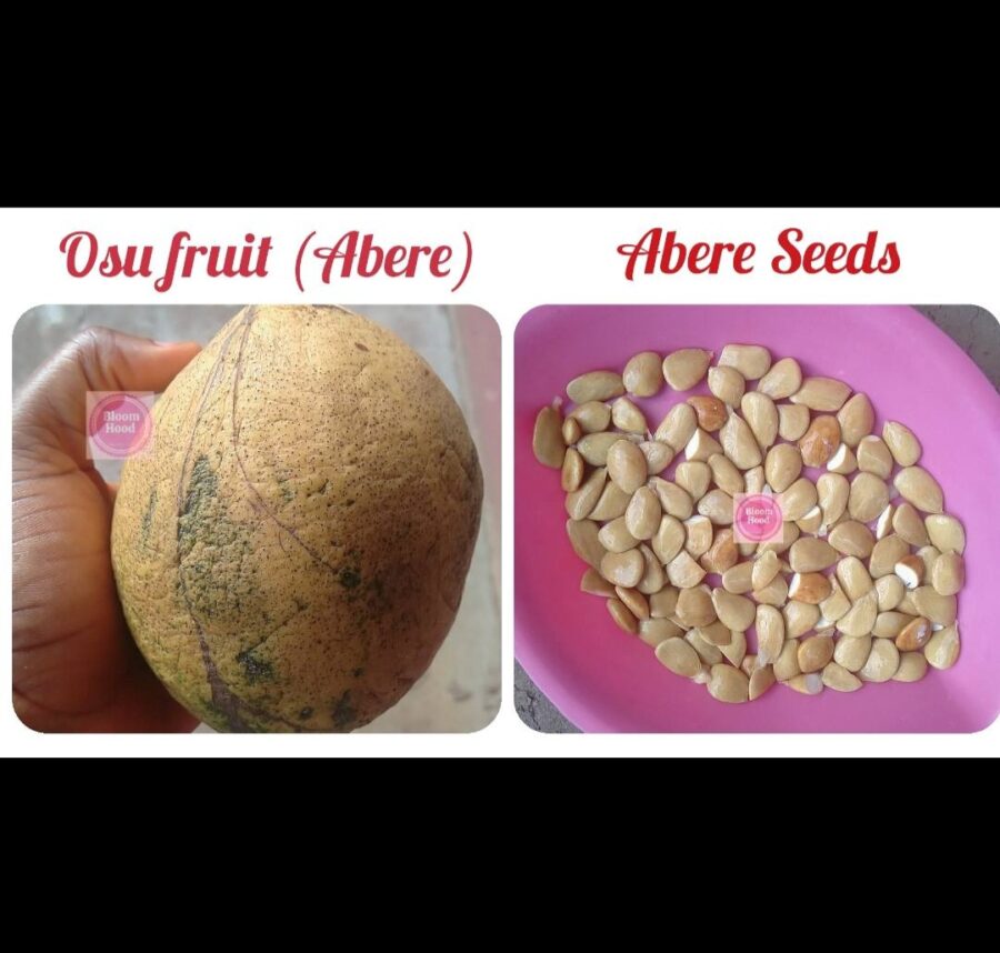 Health Benefits Of Abere Seed And Coconut Water Health Benefits Of Abere Seed And Coconut Water