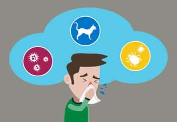 Fight Allergies: 8 Ways To Conquer &Amp; Faqs Allergies Are Ruining My Life: 8 Ways To Fight Back - Healthsoothe