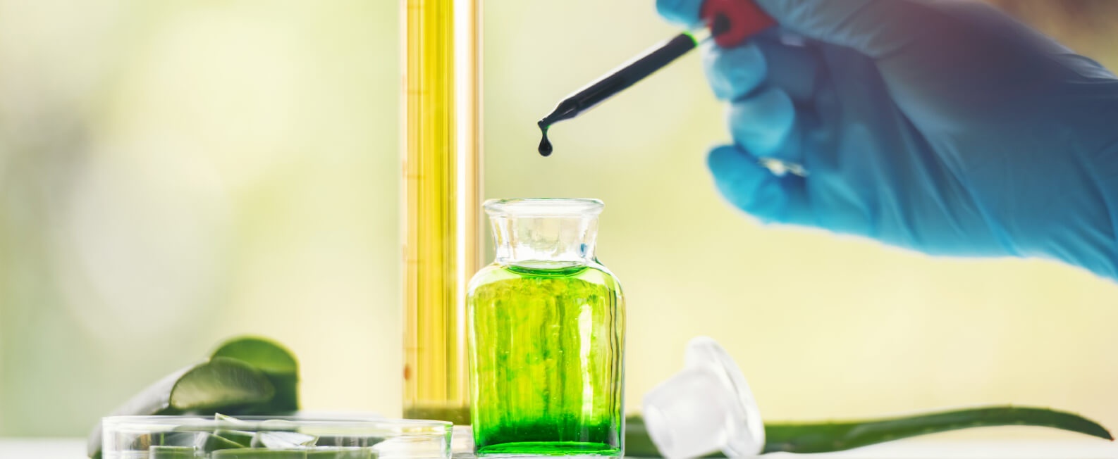 Top 10 Aloe Vera Manufacturers And Suppliers Estudios Científicos - Atlantia