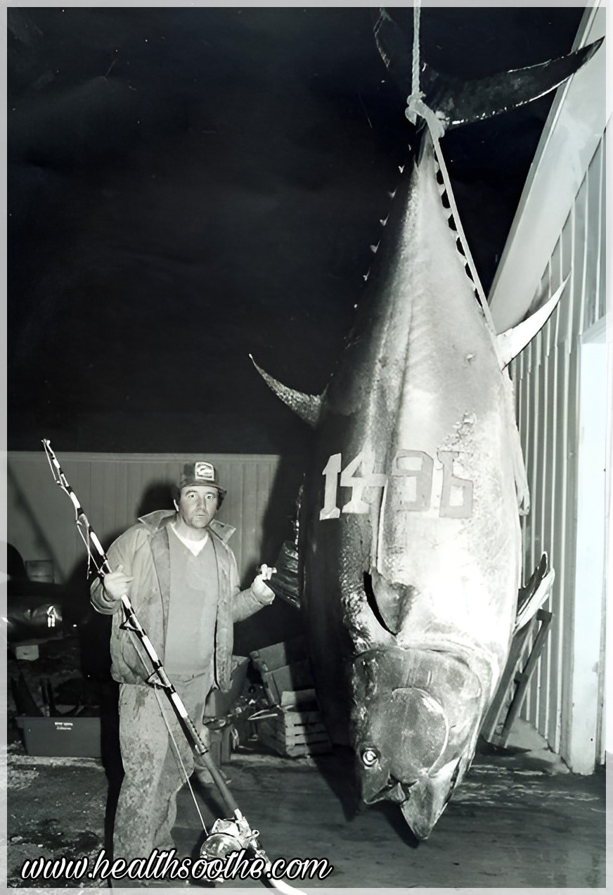 The 10 Biggest Fish Ever Caught: A Closer Look At Nature’s Largest Sea Creatures Biggest Fish Ever Caught