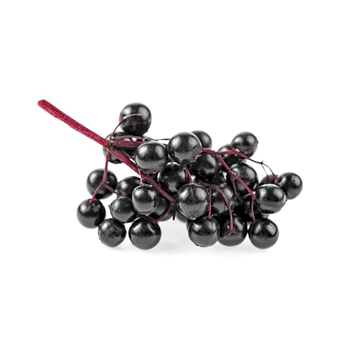 The Blue Food Challenge: Natural Blue-Colored Foods And Their Benefits Elderberry Berries, Varieties, Production, Seasonality | Libertyprim