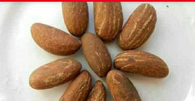 Bitter Kola: 8 Facts And Health Benefits Of Garcinia Kola. Bitter Kola: 8 Facts And Health Benefits Of Garcinia Kola.