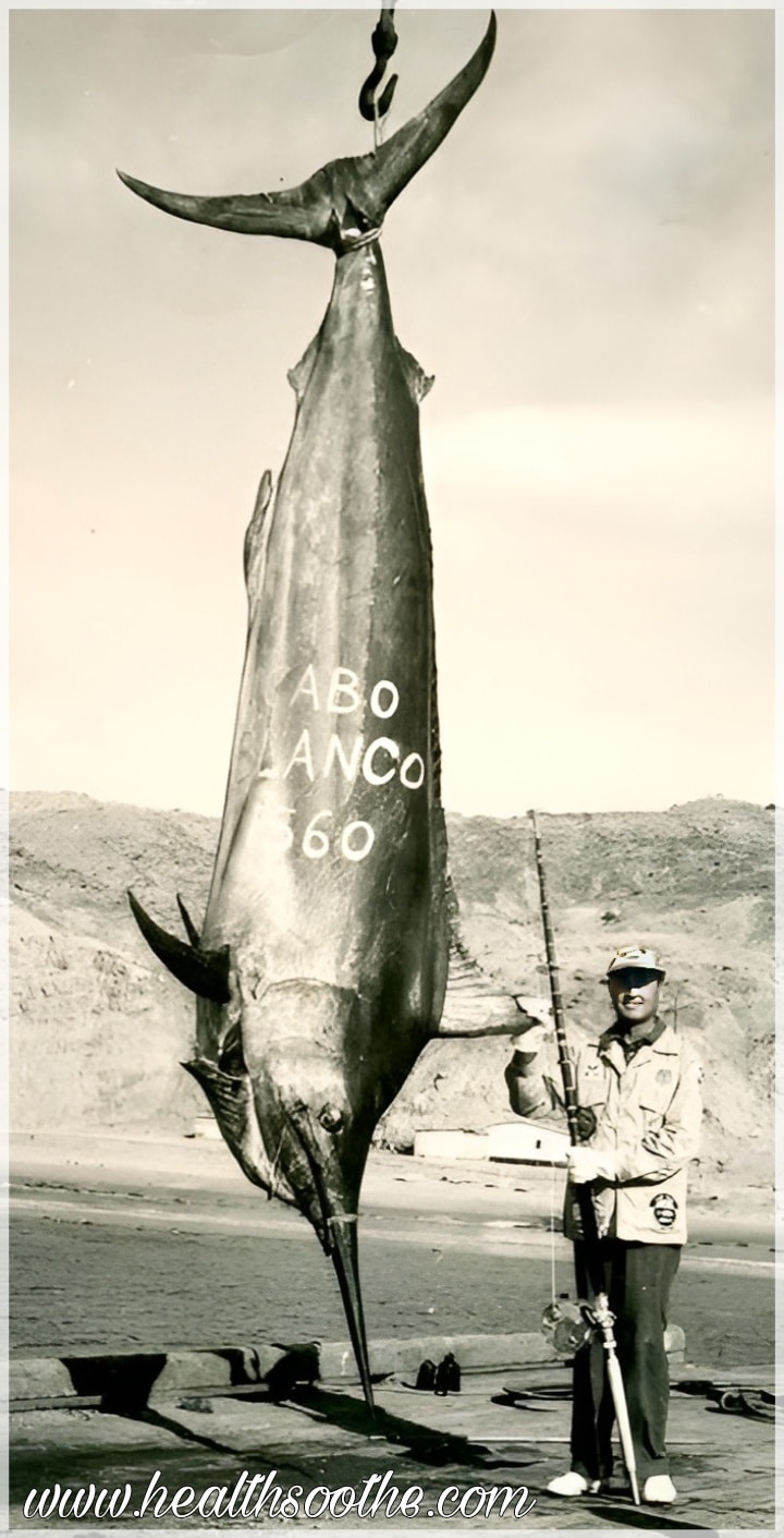 The 10 Biggest Fish Ever Caught: A Closer Look At Nature’s Largest Sea Creatures Biggest Fish Ever Caught