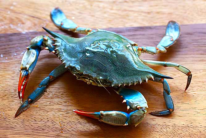 The Blue Food Challenge: Natural Blue-Colored Foods And Their Benefits Blue Crab - Steamed Blue Crabs With Old Bay - Rasa Malaysia