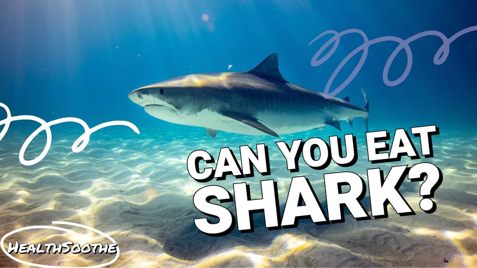 Can You Eat Sharks? | Let'S Explore Some Faqs About Eating Shark Meat Can You Eat Sharks