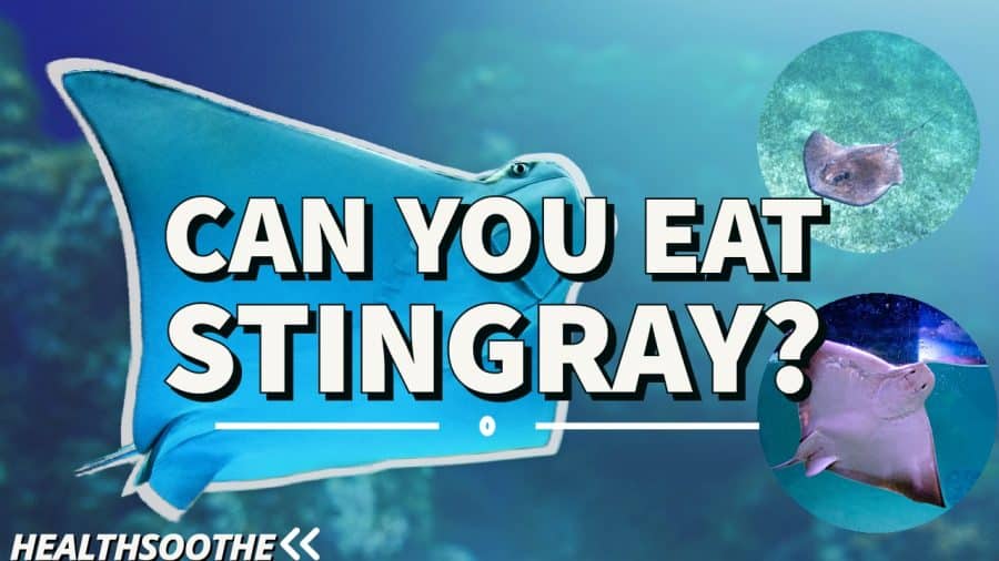 Can You Eat Stingray? Here'S What You Should Know Can You Eat Stingray