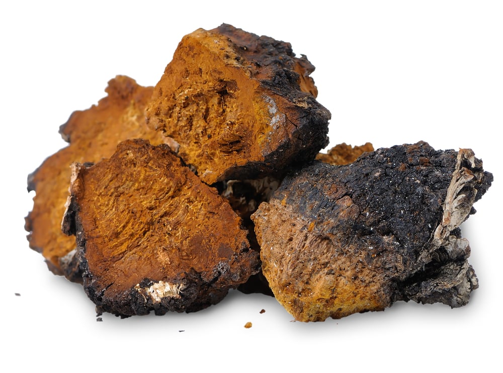 Foods That Are Black, With Recipes Chaga - Mycomedica - Chinese Vital Mushrooms