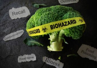 Digestive Health 101: Tips For Maintaining A Happy Tummy Digestive Health 101: Tips For Maintaining A Happy Tummy