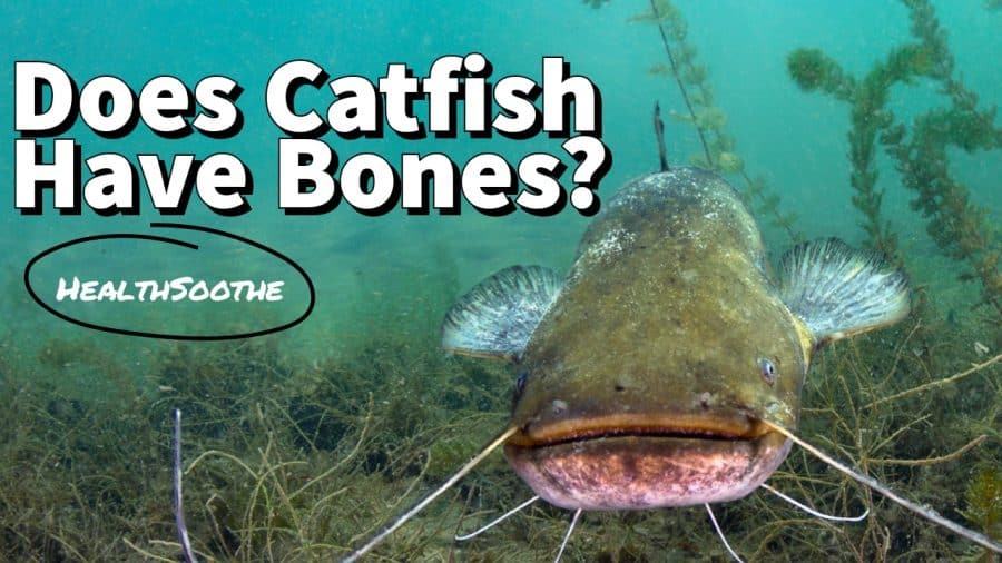 Does Catfish Have Bones? Does Catfish Have Bone