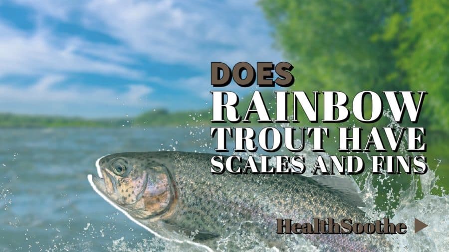 Rainbow Trout Anatomy: Scales & Fins Rainbow Trout Anatomy: Scales &Amp; Fins