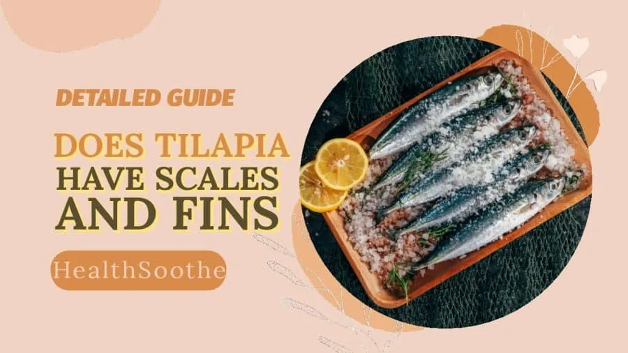 Sardines Anatomy: Scales & Fins Does Sardines Have Scales And Fins