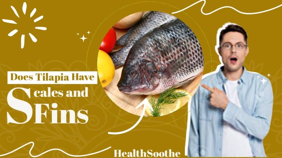 Does Tilapia Have Scales And Fins? Discover The Facts About Tilapia! Does Tilapia Have Scales And Fins