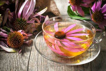 7 Easy Way To Treat Cold Sores Naturally At Home Within 2 To 3 Days Echinacea