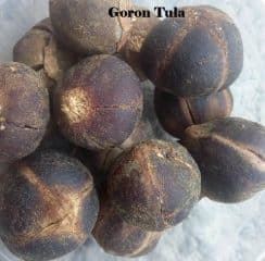 Goron Tula: The Uses, Health Benefits, And Side Effects. Goron Tula