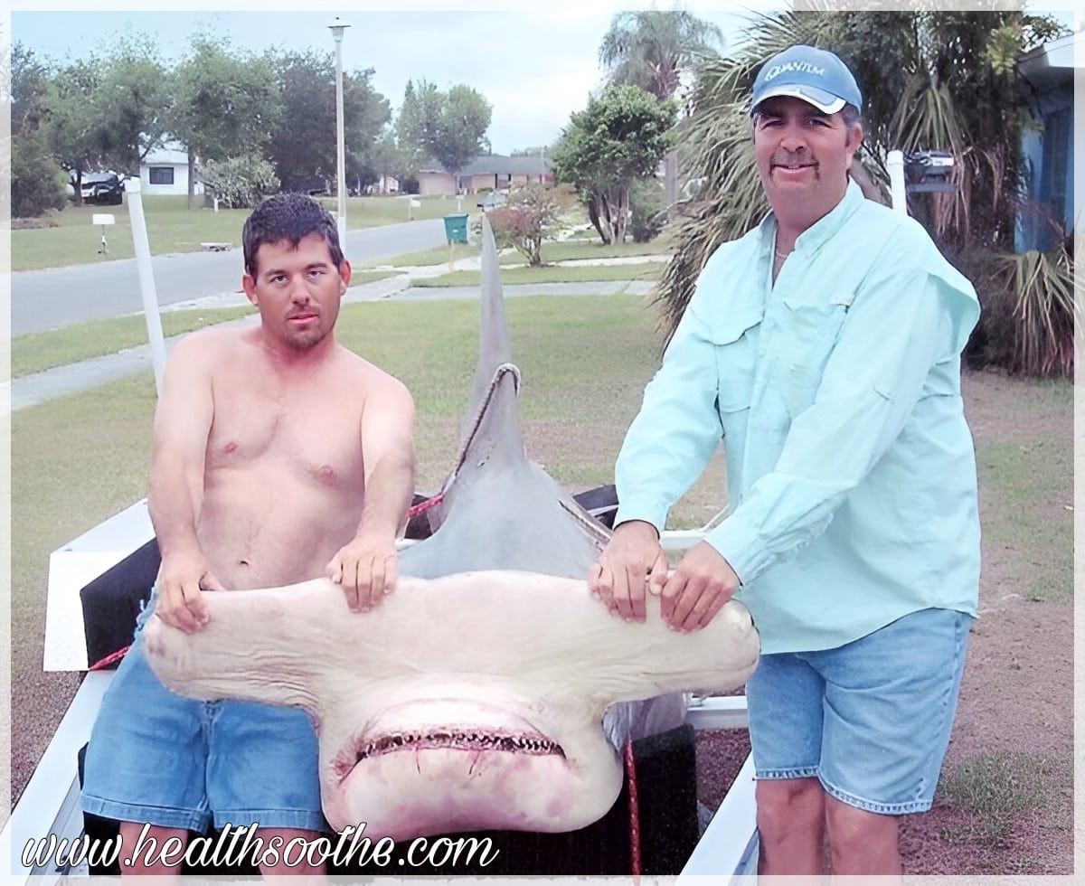 The 10 Biggest Fish Ever Caught: A Closer Look At Nature’s Largest Sea Creatures Biggest Fish Ever Caught