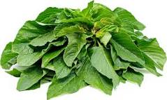 Nutritional Value Of Green Amaranth Vegetables Green Amaranth