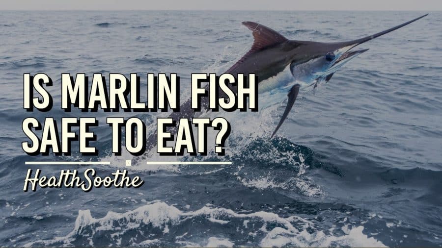 Is Marlin Fish Safe To Eat? Here'S What You Should Know Marlin Fish