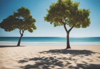 Healing Minds Down Under: Insights From A Clinical Psychologist On Mental Health In Western Australia Healing Minds Down Under: Insights From A Clinical Psychologist On Mental Health In Western Australia