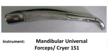 15 Oral Surgery Instruments And Their Uses Oral Surgery Instrument: Mandibular Universal Forceps