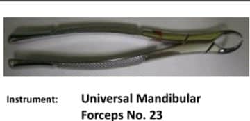 15 Oral Surgery Instruments And Their Uses Oral Surgery Instruments-Mandibular Forceps