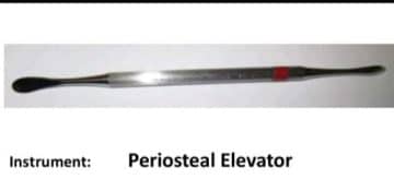 15 Oral Surgery Instruments And Their Uses Oral Surgery Instruments-Periosteal Forceps