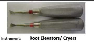 15 Oral Surgery Instruments And Their Uses Oral Surgery Instruments-Root Elevators