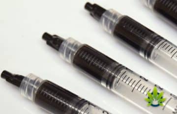 The Do'S And Don'Ts Of Smoking Rso: A User'S Guide Rick Simpson Oil - Rso