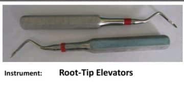 15 Oral Surgery Instruments And Their Uses Root-Tip-Elevators.jpg
