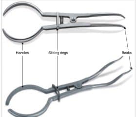 5 Instrument Used For Rubber Dam Placement Rubber Dam Clamp Forceps