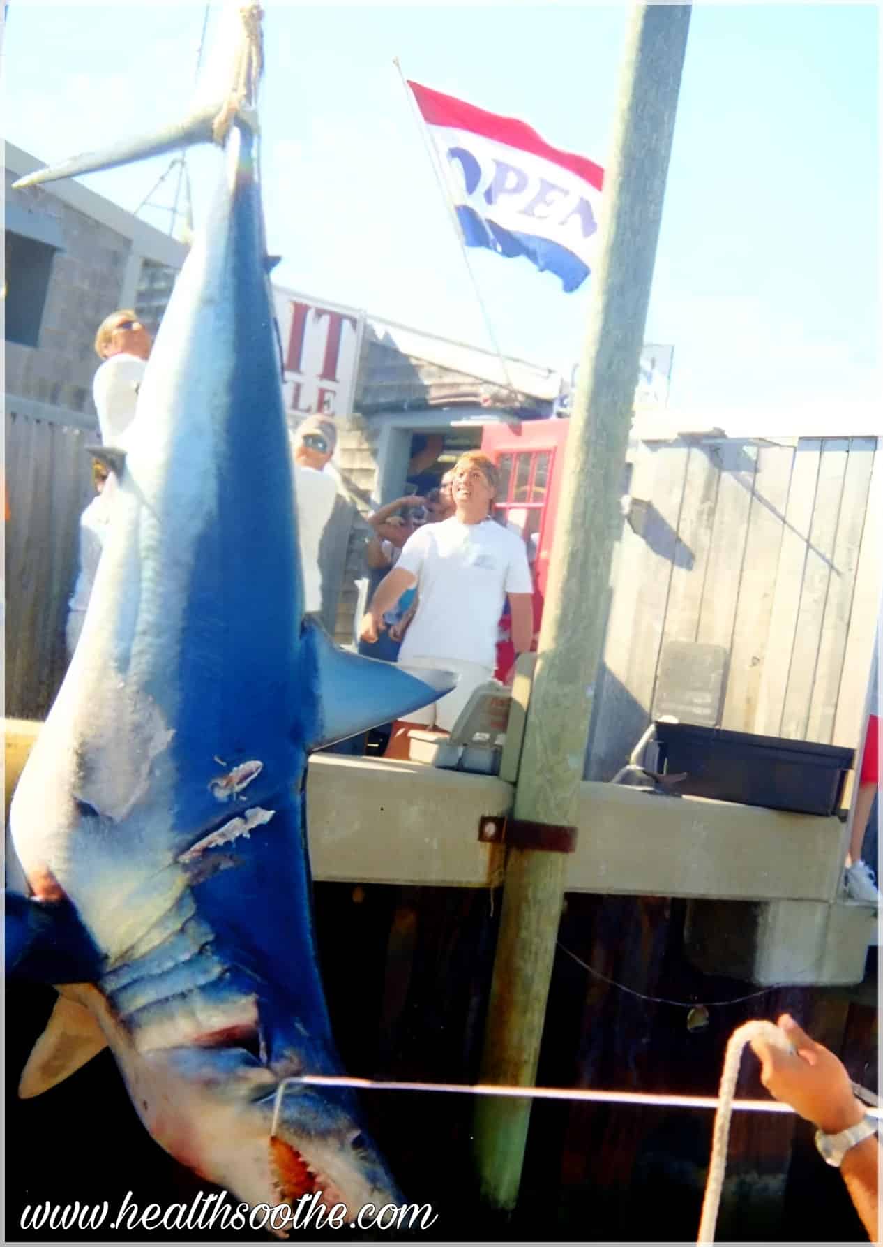The 10 Biggest Fish Ever Caught: A Closer Look At Nature’s Largest Sea Creatures Biggest Fish Ever Caught