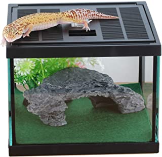 Top 5 Tarantula Enclosures For Your Exotic Pet Tarantula Enclosures