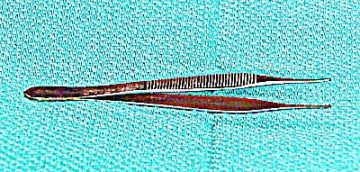 12 Basic Suture Tray Setup &Amp; Wound Management Toothed Forceps