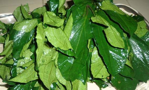 27 Vegetables In Nigeria, Types, Recipes And More. Go Green! Ugu Leaves | Vegetables In Nigeria, Types, Recipes
