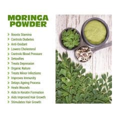 What Is Moringa? And The Basic Health Benefits What Is Moringa? And The Basic Health Benefits