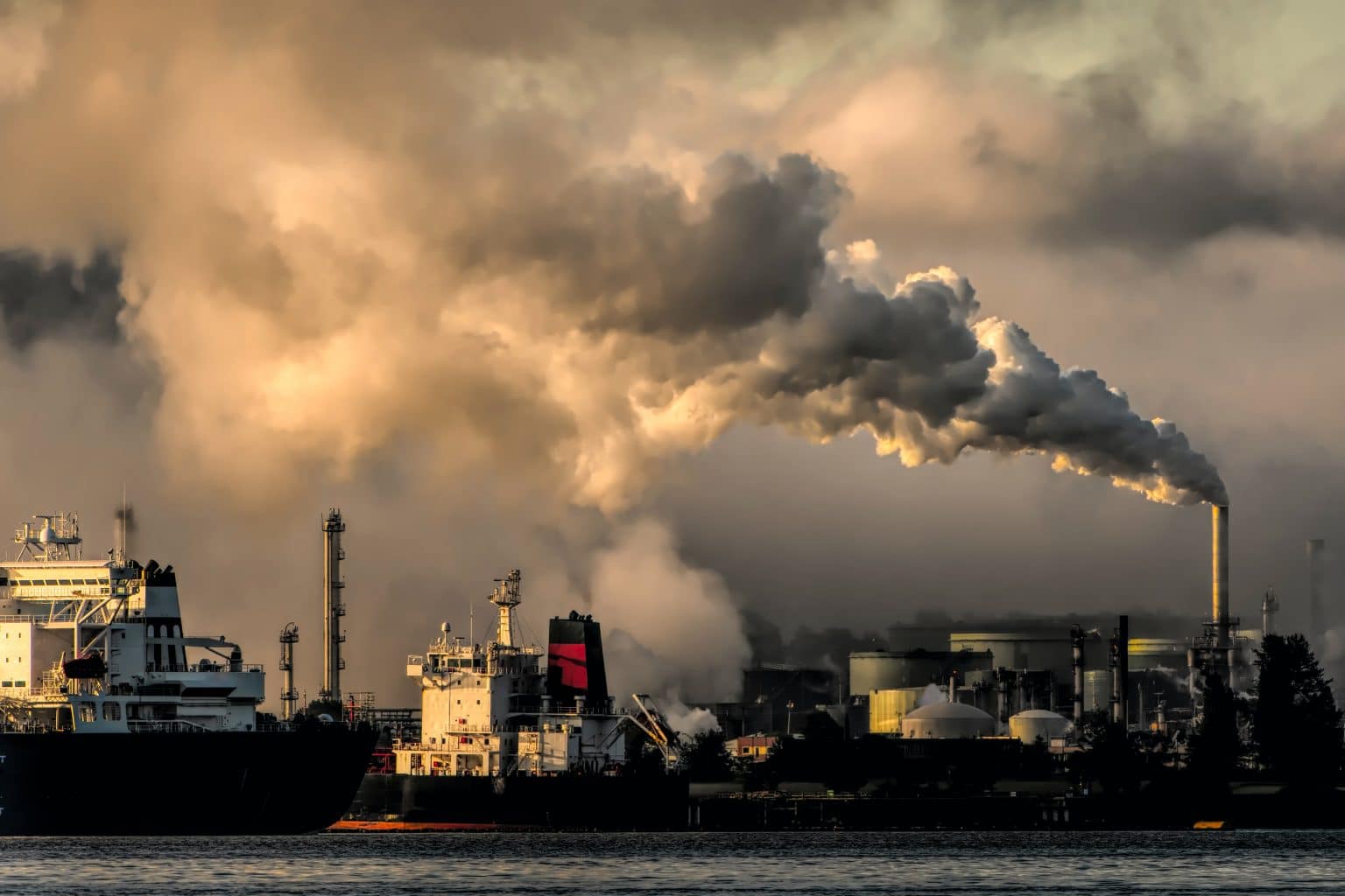 Which Type Of Pollution Includes Cfcs And Smog? Which Type Of Pollution Include Cfcs And Smog
