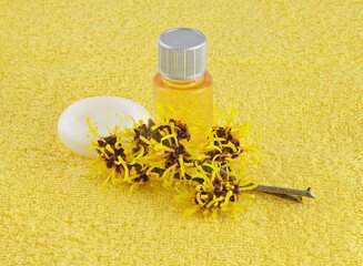 7 Easy Way To Treat Cold Sores Naturally At Home Within 2 To 3 Days Witch Hazel Oil