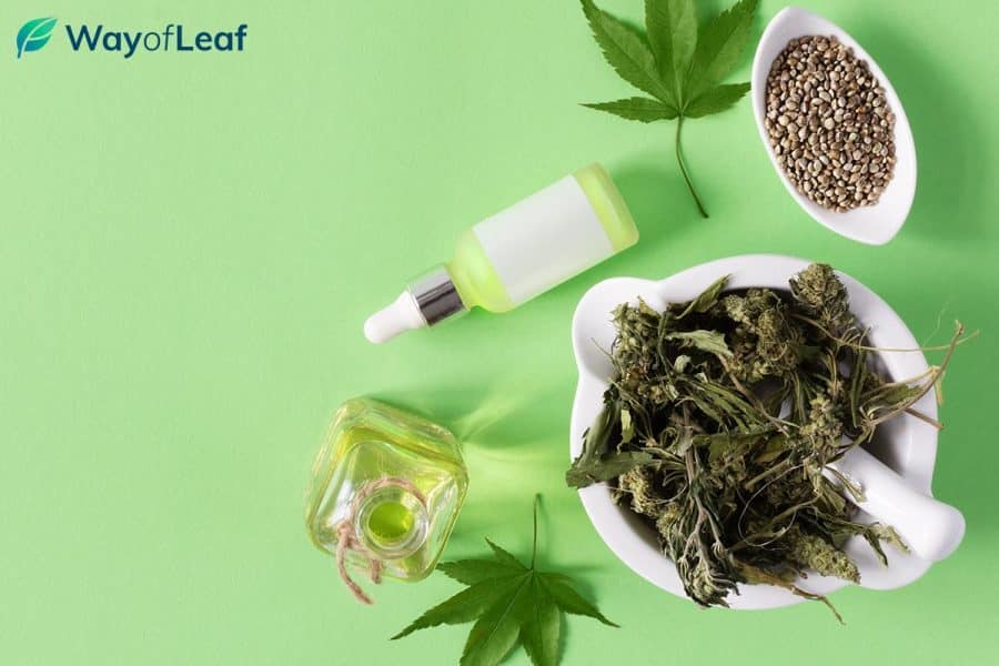 Why You Should Definitely Try Giving Your Dog Cbd Why You Should Definitely Try Giving Your Dog Cbd