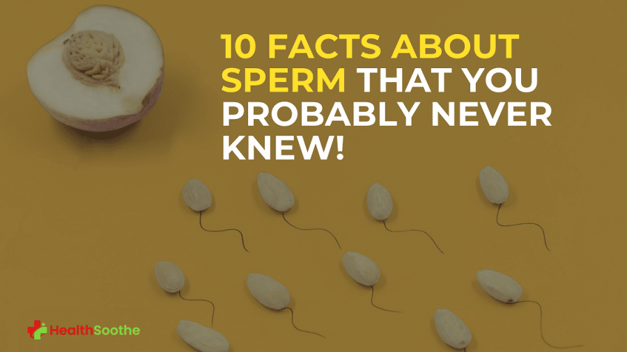 10 Facts About Sperm That You Never Knew 10 Facts About Sperm