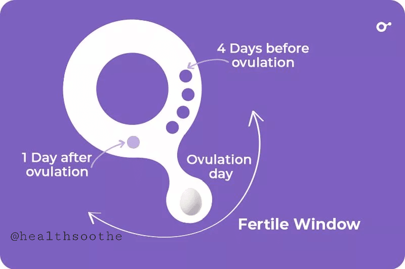 5 Facts About Fertile Windows And Pregnancy 5 Facts About Fertile Windows And Pregnancy
