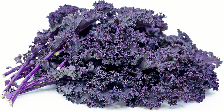 10 Foods That Are Purple | No.5 Will Surprise You Redbor Kale Information And Facts