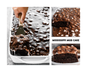 Decadent Mississippi Mud Cake Recipe Making Mississippi Mud Cakes - Healthsoothe