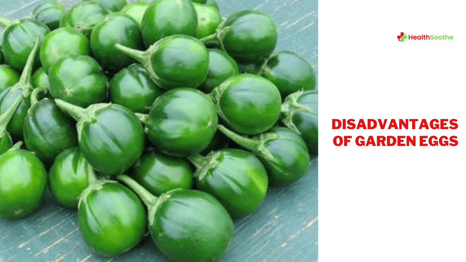 Disadvantages Of Garden Eggs You Never Knew Disavantages Of Garden Eggs