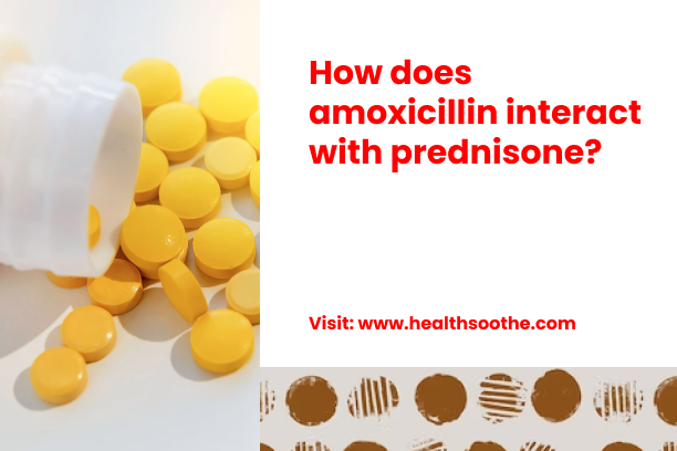 How Does Amoxicillin Interact With Prednisone? How Does Amoxicillin Interact With Prednisone_
