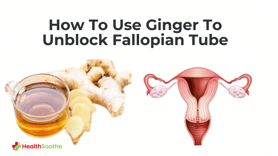 How To Use Ginger To Unblock Fallopian Tube How To Use Ginger To Unblock Fallopian Tube