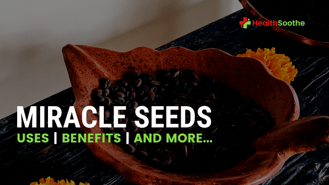 20 Benefits And Uses Of Miracle Seeds For Fertility, Fibroids, Infection And More 20 Benefits And Uses Of Miracle Seeds For Fertility, Fibroids, Infection And More