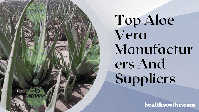 Top 10  Aloe Vera Manufacturers And Suppliers Top 10 Aloe Vera Manufacturers And Suppliers