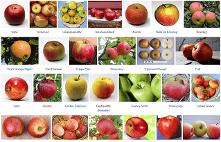 Top Nutritional Facts About Apple Fruit (Benefits, Side Effects, And How To Eat It To Get The Most Out Of It) Types Of Apples - Healthsoothe