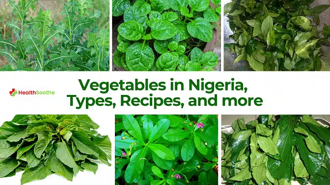 27 Vegetables In Nigeria, Types, Recipes And More. Go Green! Vegetables In Nigeria, Types, Recipes And More
